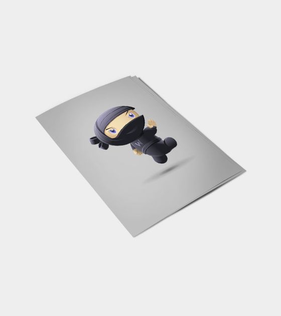 Flying Ninja